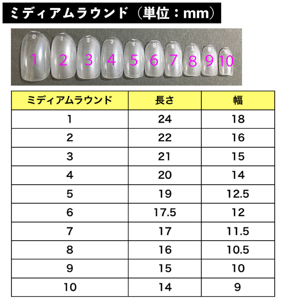 ミディアムラウンドサイズ表